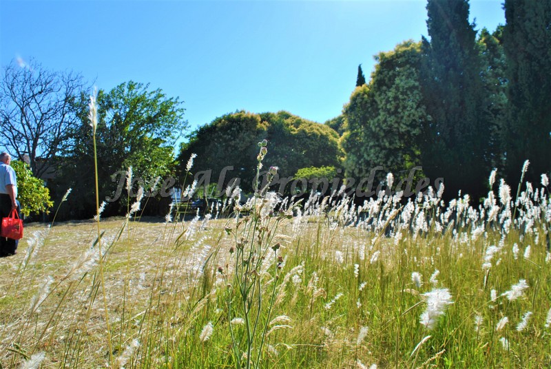 Imagen 9 de Hermoso terreno de fácil acceso a 100m de ruta 1 y a 10 minutos del centro de la ciudad de Colonia.