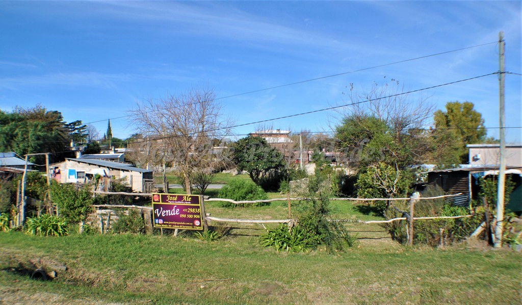 Imagen 1 de Espectacular terreno sobre Avda. Paul Harris.