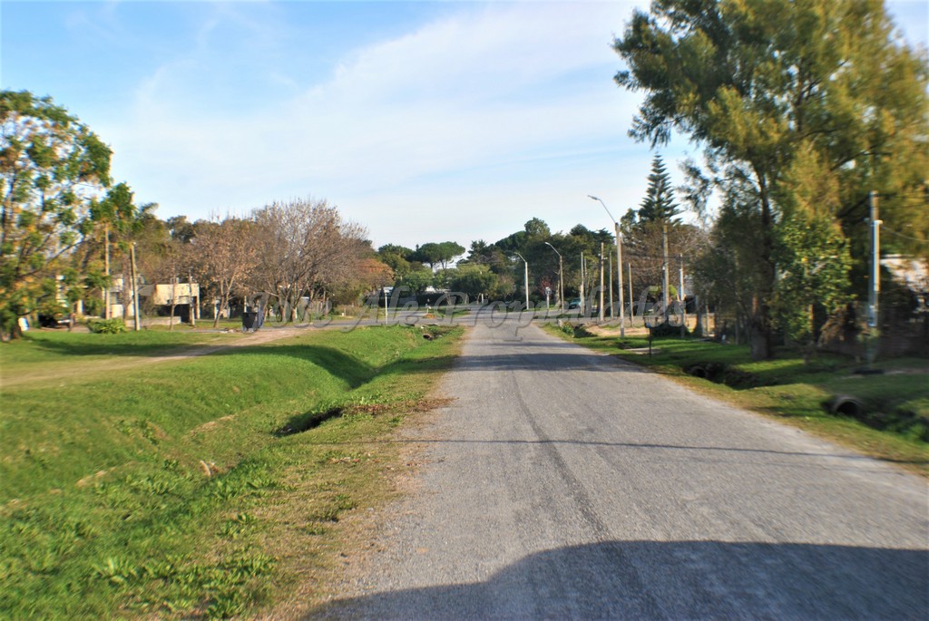 Imagen 5 de Espectacular terreno sobre Avda. Paul Harris.