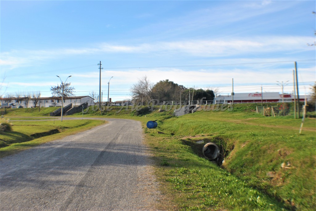 Imagen 6 de Espectacular terreno sobre Avda. Paul Harris.