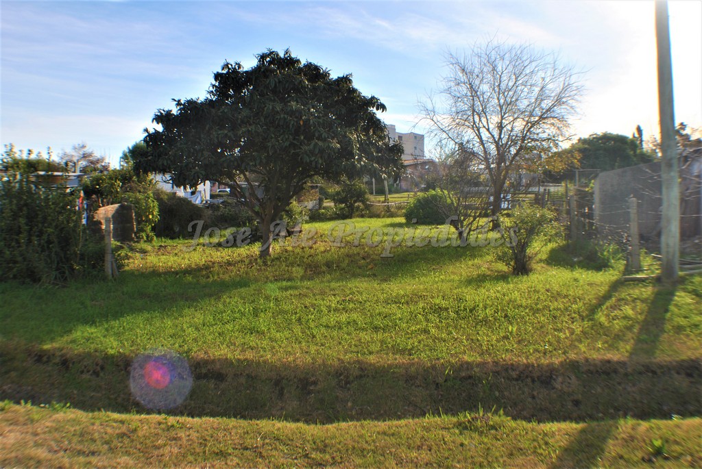 Imagen 7 de Espectacular terreno sobre Avda. Paul Harris.