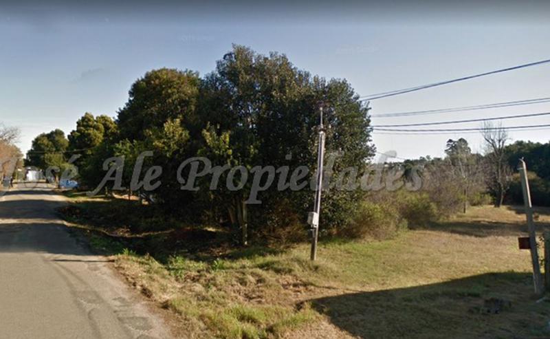 2 Terrenos muy bien ubicados a paso de todo, uno con frente a la recientemente renovada calle Atanasio Sierra.