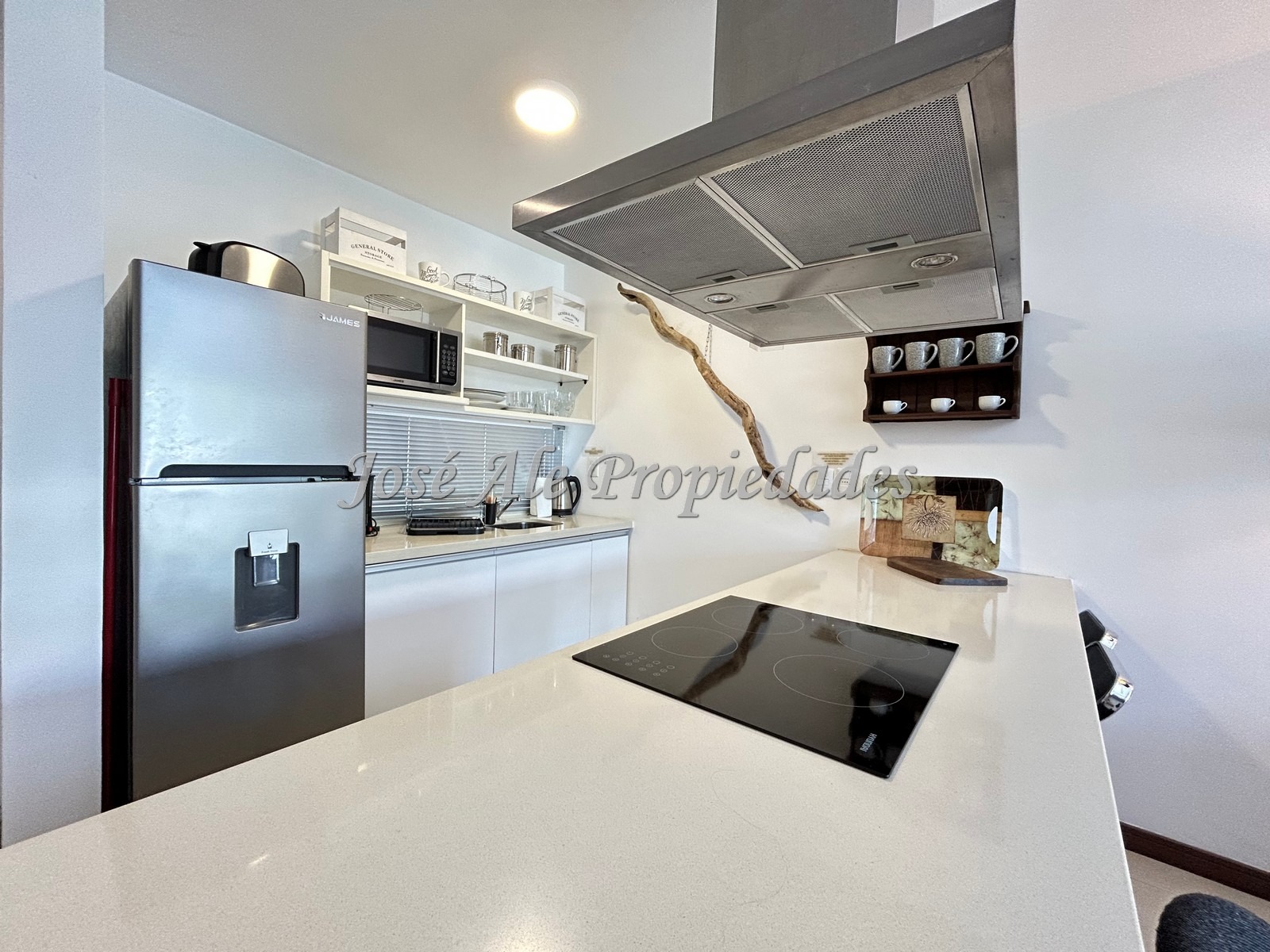 Imagen 5 de Hermoso Departamento tipo Loft con total equipamiento, ubicado sobre Rambla de las Américas