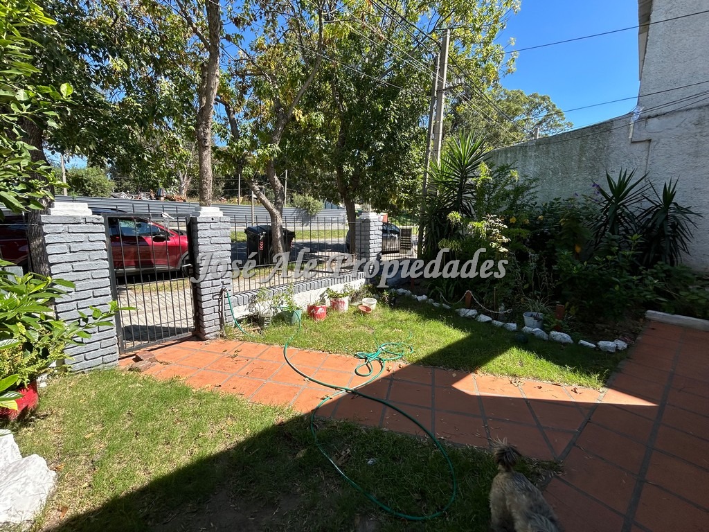 Imagen 3 de Propiedad ubicada en avenida principal, zona comercial de Colonia.