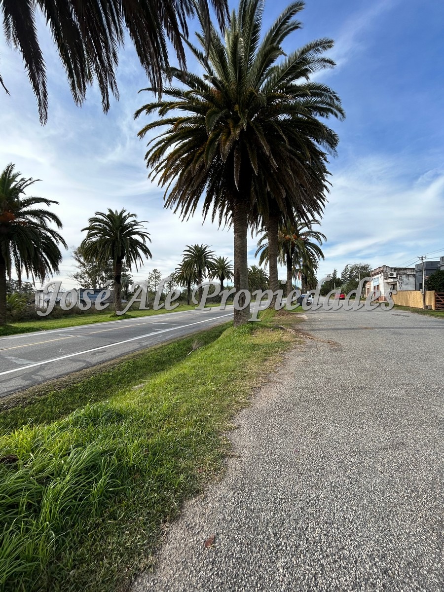 Imagen 2 de Propiedad ubicada sobre Ruta nº1 a proxima a Riachuelo, Colonia.
