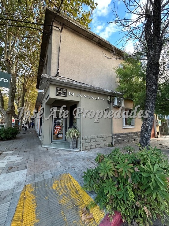 Imagen 6 de 4 Propiedades en un mismo padrón, ubicadas sobre la segunda Av. principal de Colonia, Av. Artigas. IDEAL INVERSIÓN!