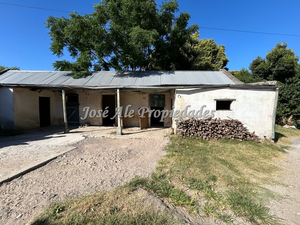 Imagen 7 de Lote único en colonia con dos casas y 3 boxes, ubicado en esquina frente a la renovada plaza de toros.