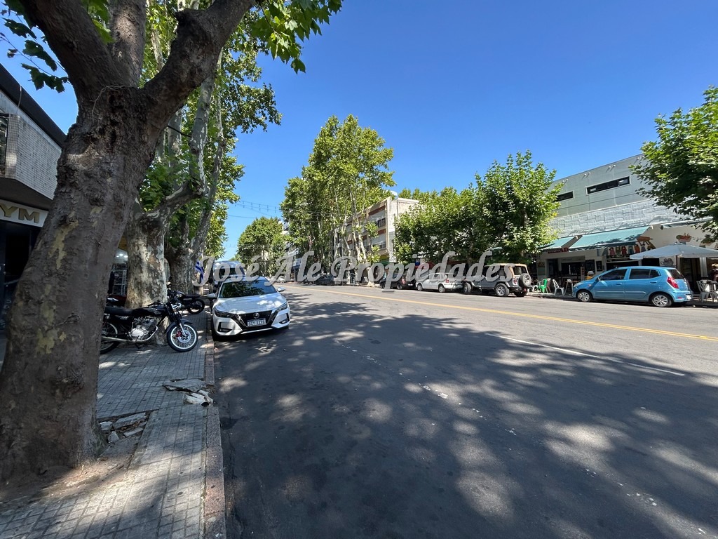Imagen 10 de EN VENTA Destacada casa ubicada en av Principal Gral Flores.