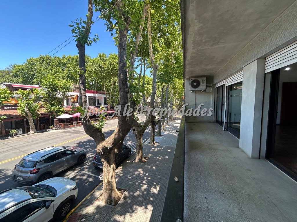 Imagen 5 de Apartamento en planta alta sobre avenida principal Gral. Flores, a pasos de todos los servicios, Colonia, ideal profesionales.