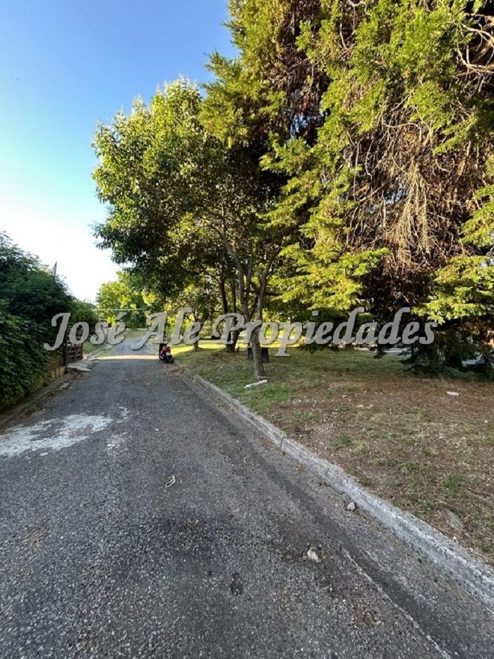 Imagen 4 de Oportunidad Proponga Vivienda ubicada en el Real de San Carlos, a cuadras de la Rambla y playas de Colonia.