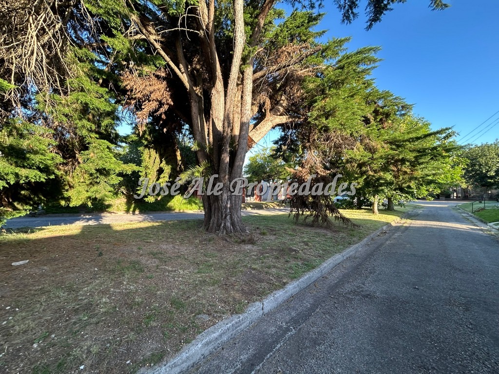 Imagen 5 de Oportunidad Proponga Vivienda ubicada en el Real de San Carlos, a cuadras de la Rambla y playas de Colonia.
