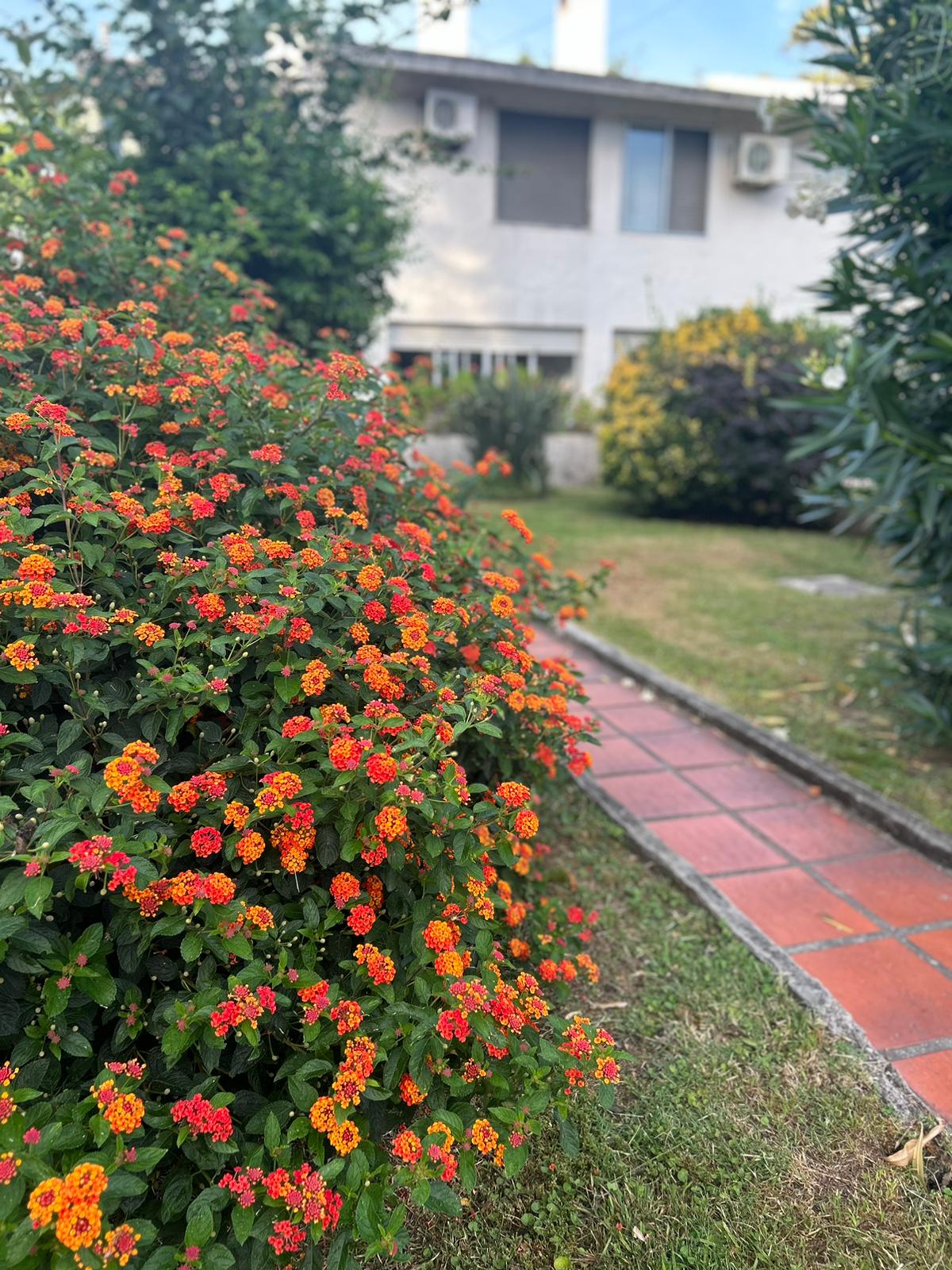 Imagen 1 de Hermosa casa a metros de la rambla Costanera y playas de Colonia.