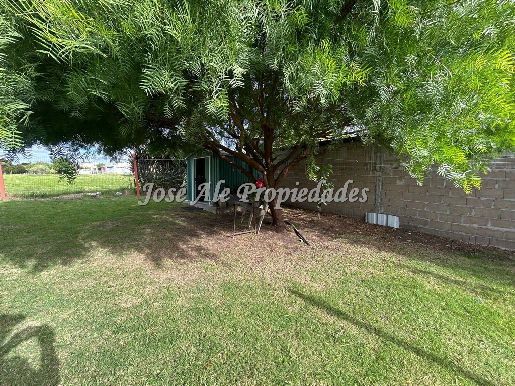 Imagen 10 de Hermosa casa en perfecto estado de mantenimiento ubicada en el real de San Carlos, próxima a la renovada Plaza de Toros.