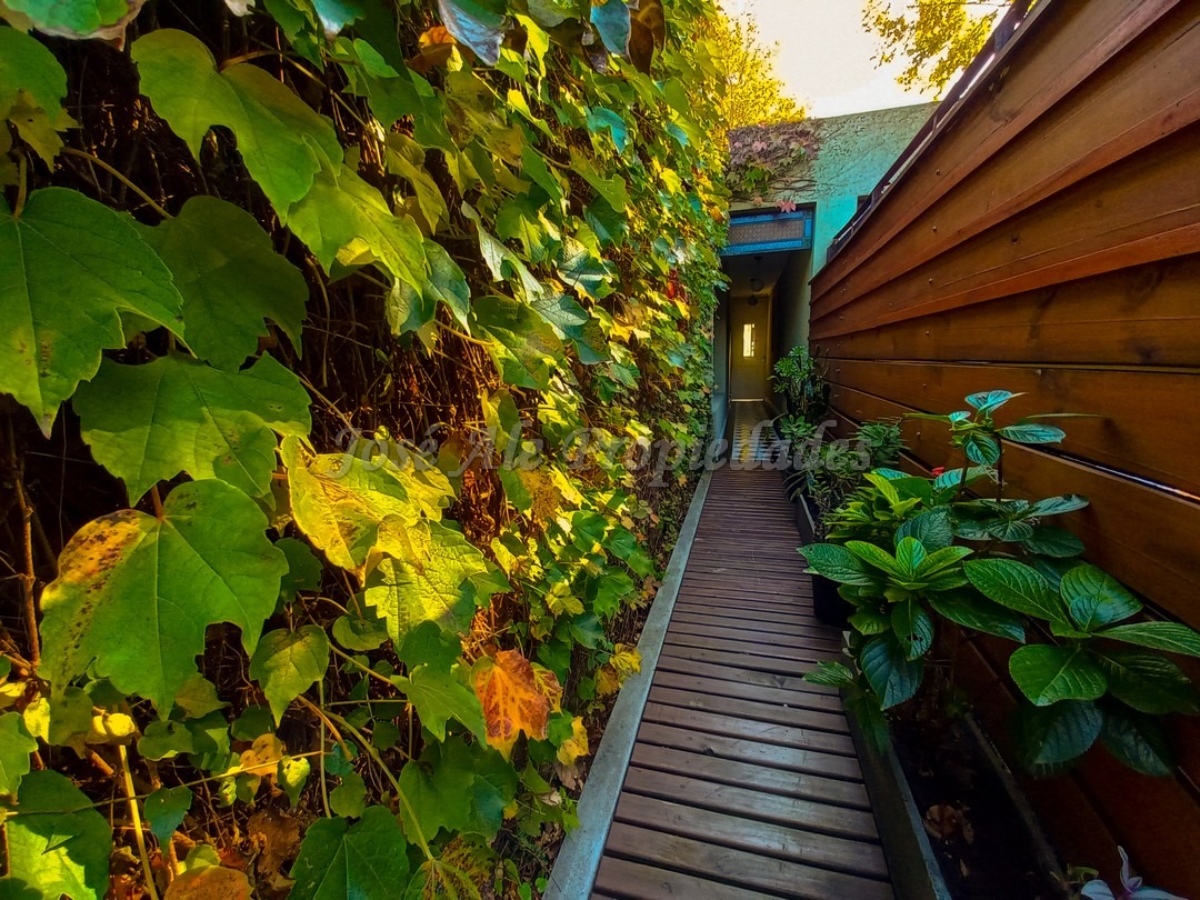 Imagen 3 de Hermosa casa ubicada en pleno centro de la ciudad, a metros del parque de Afe, casco histórico y a pasos de todos los servicios.