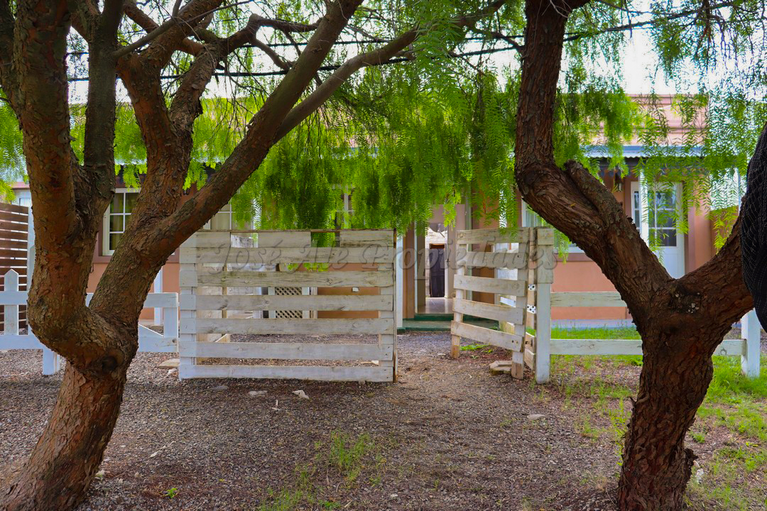 Imagen 10 de Departamento en zona Plaza de Toros, a corta distancia de Rambla de Colonia.