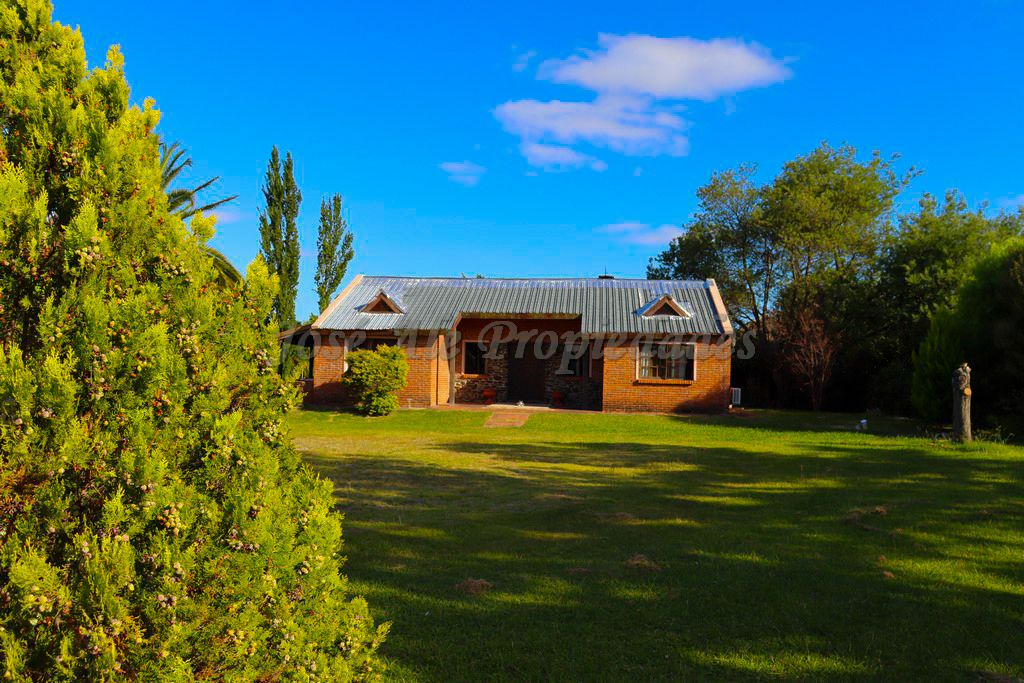 Imagen 1 de Amplio terreno de unos 5.000m2 con una hermosa y cómoda casa ubicada sobre ruta 1.