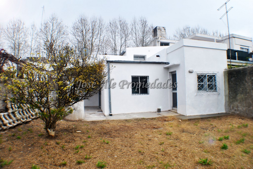 Imagen 9 de Propiedad en pleno centro de Colonia. Sobre Avenida Artigas, a pasos de todos los servicios.