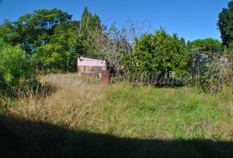 Imagen 6 de Propiedad a reciclar Estratégicamente ubicada a metros de la Avenida Luis Alberto de Herrera, en zona con importante potencial.