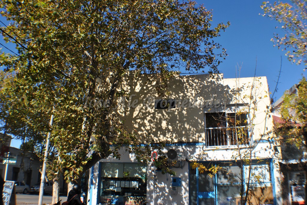 Imagen 8 de Impecable y luminoso departamento ubicado en pleno centro de Colonia del Sacramento.