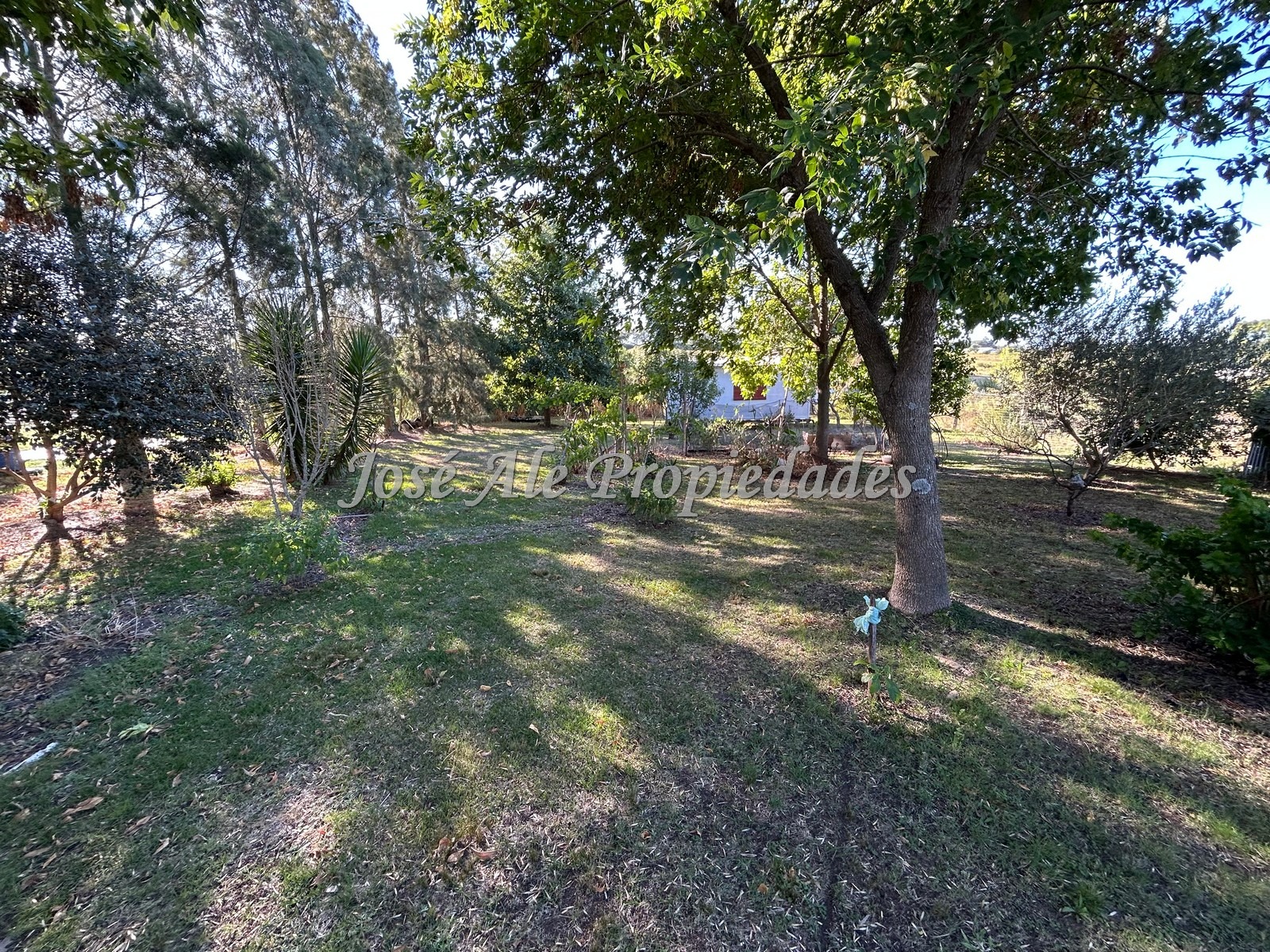 Imagen 10 de Casa de 3 dormitorios con apto o galpon independiente ubicada en el Real de San Carlos, Colonia.