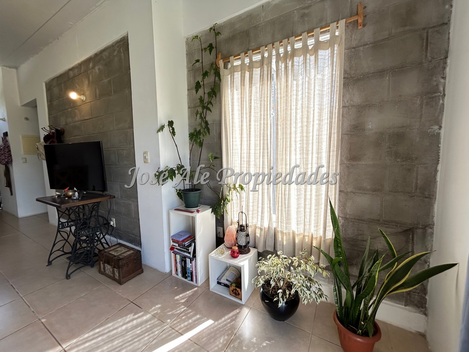 Imagen 5 de Propiedad de 2 dormitorios en Real de San Carlos, a pasos de todos los servicios y de transporte público, Zona de UDE.