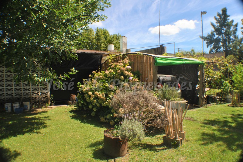 Imagen 10 de Chacra con 5 hectáreas apta para cultivo en Ruta 21.