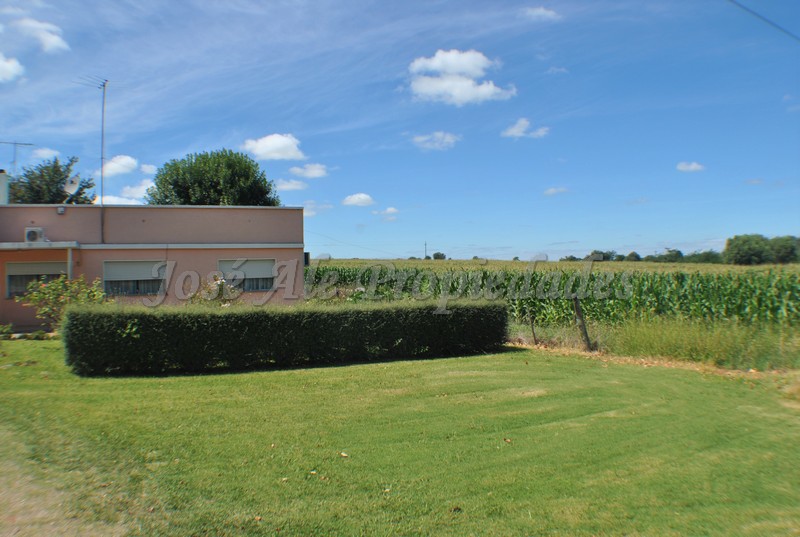 Imagen 2 de Chacra con 5 hectáreas apta para cultivo en Ruta 21.