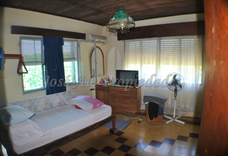 Imagen 6 de Chacra con 5 hectáreas apta para cultivo en Ruta 21.